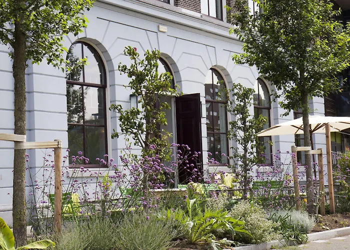 سويتهوتيل بينكوفس 4*